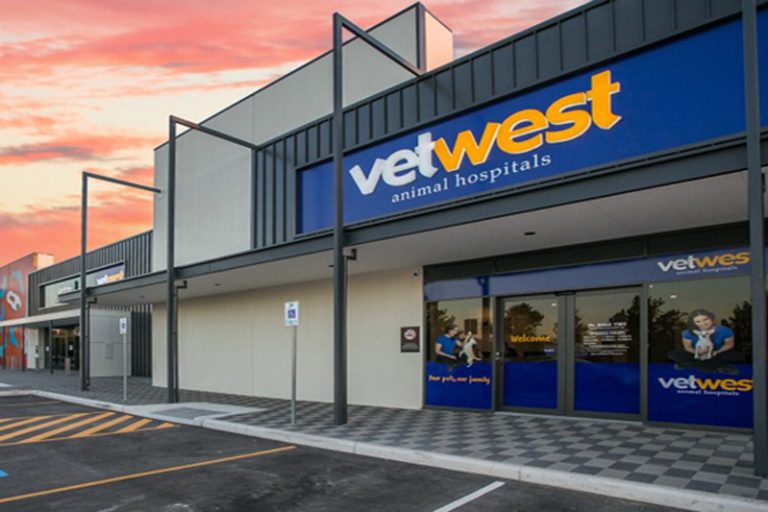 vet clinic fitout for VetWest.